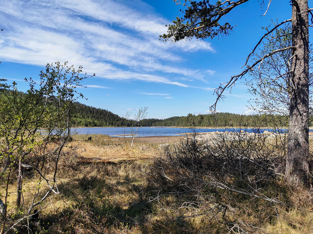 Skjesvannet