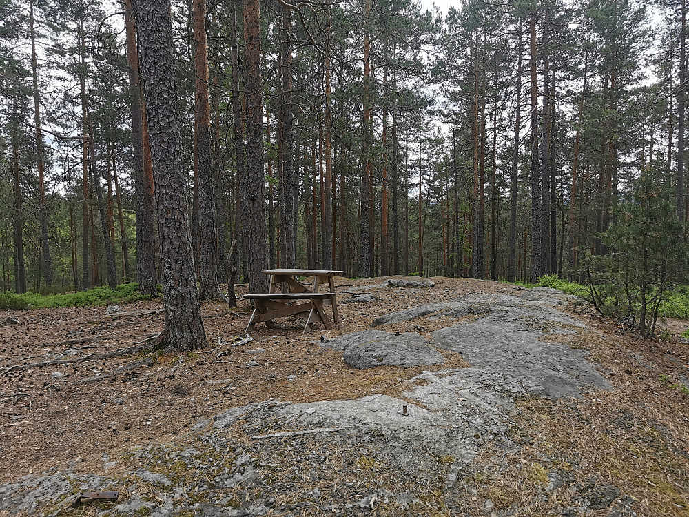 Topp punktet