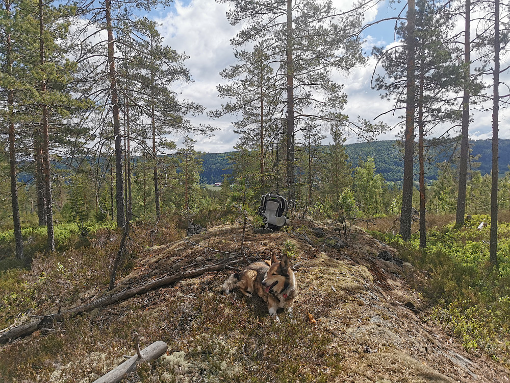 Topp punktet