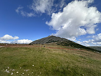 GuroKvam_20240729_66a728fdaddb3.jpeg