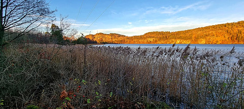 Utsikt over Stokkevannet mot Høgenhei