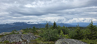 Englepus_20250801_688cc3decfcb8.jpg