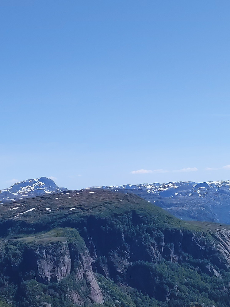 Napen til venstre på bildet og Napungen som ein grå miniversjon heilt til høgre