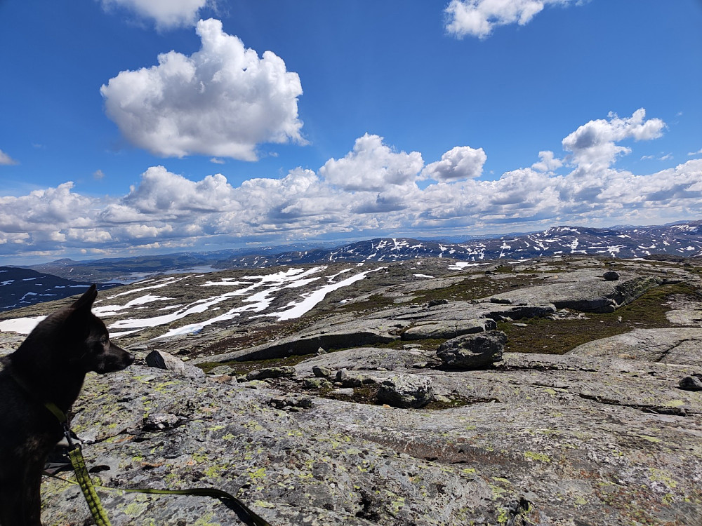 Utsikt frå Holmevatnet frå toppen