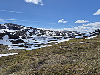 AnitaA_20240709_668d789919ffd.jpg