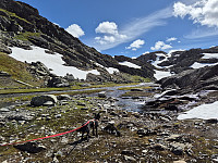 AnitaA_20240709_668d78999159e.jpg