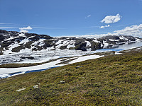 AnitaA_20240709_668d789a92c19.jpg