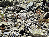 AnitaA_20240709_668d789c1ea42.jpg