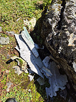 AnitaA_20240709_668d789caad68.jpg