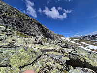 AnitaA_20240709_668d789dbdcfd.jpg
