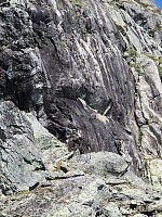 AnitaA_20240709_668d789e4627d.jpg