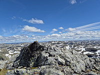 AnitaA_20240709_668d789eda050.jpg