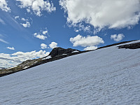 AnitaA_20240709_668d789f5019c.jpg