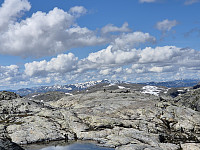 AnitaA_20240709_668d78a13c714.jpg
