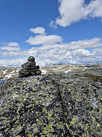 AnitaA_20240712_66917e28954d7.jpg