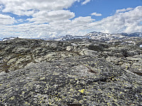 AnitaA_20240712_66917e291902e.jpg