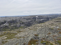 AnitaA_20240729_66a7ca4848ba8.jpg