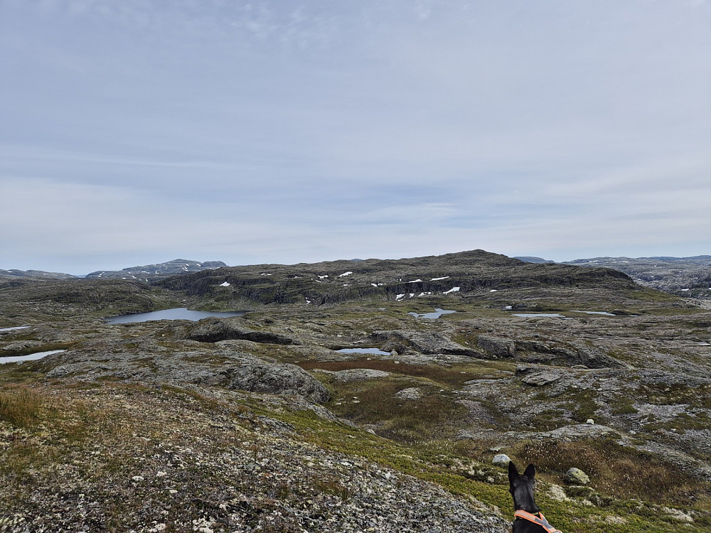 Pjåkavatnet og Pjåkavassheia sett frå Ørnareiret (1165 moh)