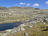 AnitaA_20240802_66ad27921c08d.jpg
