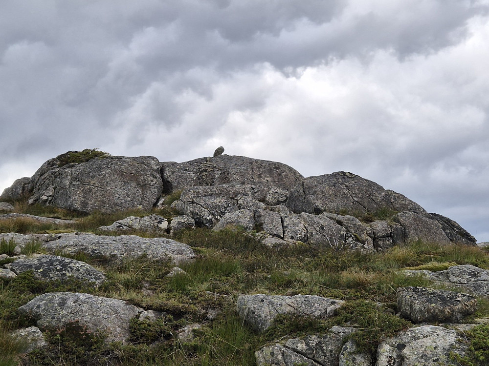 Vågaheia