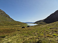 AnitaA_20240901_66d4b3a37e7ab.jpg