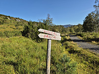 AnitaA_20240901_66d4b3a55b3a1.jpg