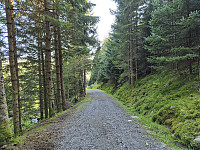 AnitaA_20240901_66d4b3a786c80.jpg