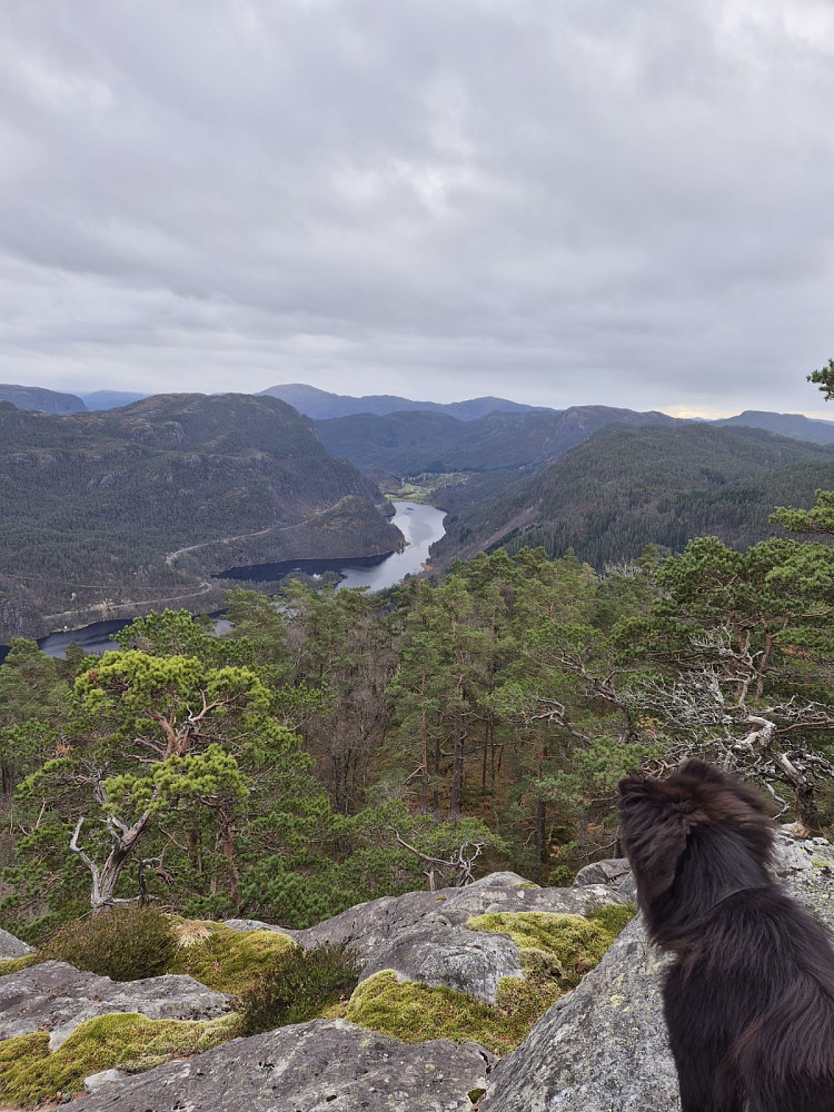 Utsikt frå Middagsfjellet