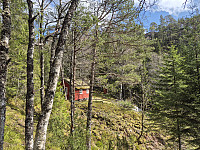 AnitaA_20250429_681061a459309.jpg