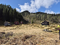 AnitaA_20250429_681061a72a862.jpg