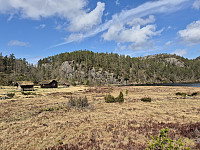 AnitaA_20250429_681061aa5e8a9.jpg