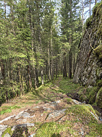 AnitaA_20250429_681061afe5d90.jpg