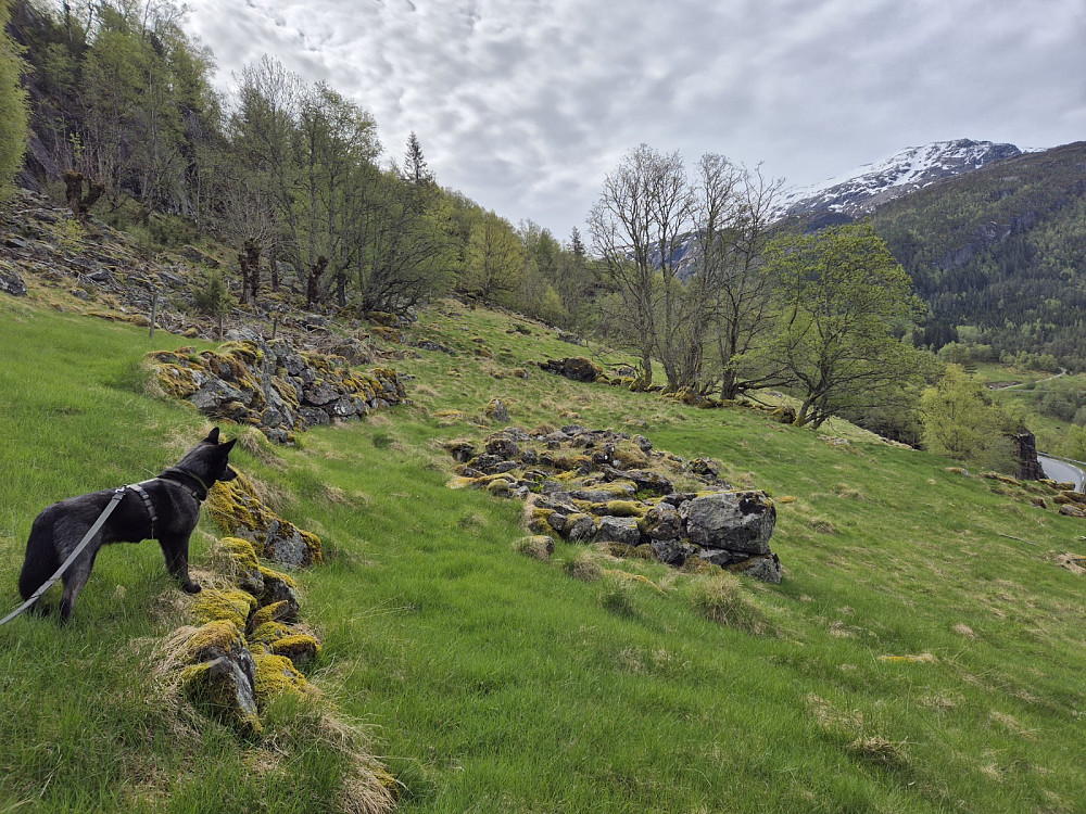 Kleppeskarlio.Lars Olson f 1847 og konaBorghild rydda husmannsplassen Kleppeskarlia. Dei hadde ei jordhyttetil kua. I 1891 reiste huslydentilAmerika. 
Huset blei flytta til Teien på Hemra Vetrhus.  