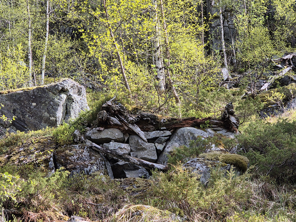 Løa i Buskåro