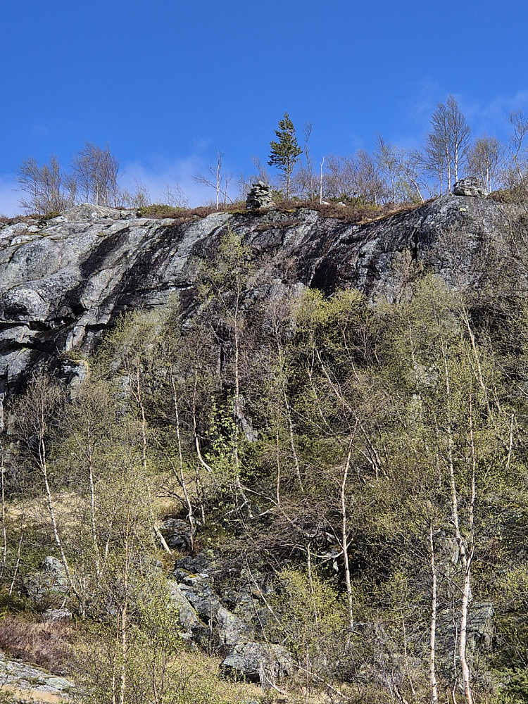 Kvednavarden?
