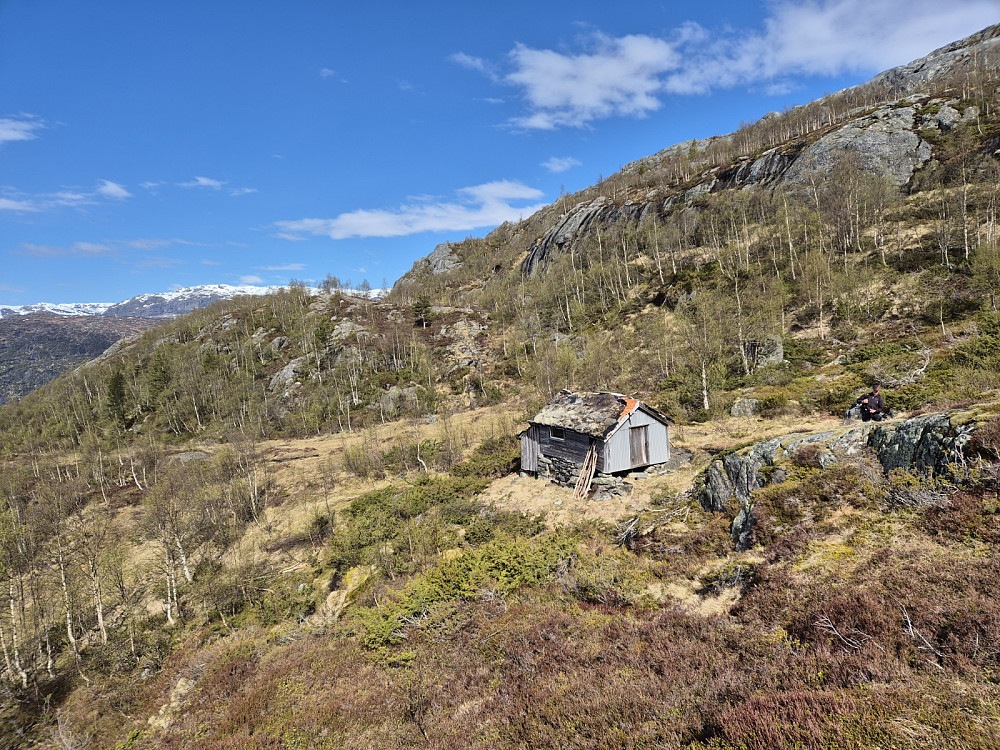 Kvednastølen