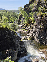 AnitaA_20250622_6857ee03858b9.jpg