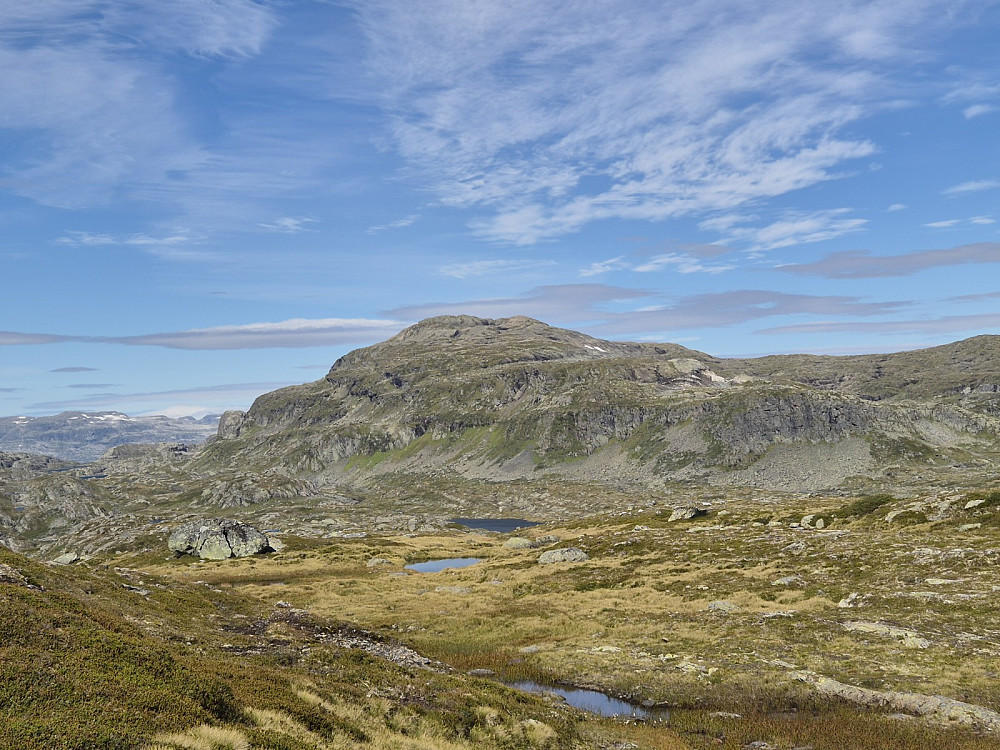 Skyvassnuten sett frå Veggine