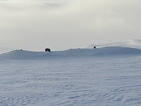 Sindre83_20250217_67b30c7317518.jpg