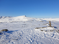 opps_20210710_60e9d283a4684.jpg