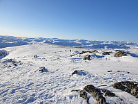 opps_20210710_60e9d286acef6.jpg