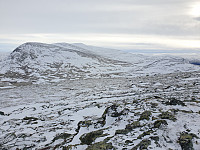 opps_20210710_60e9d91d6d2a2.jpg