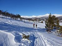 opps_20210710_60e9ddd1a4ed7.jpg