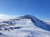 opps_20210710_60e9ddd43f063.jpg