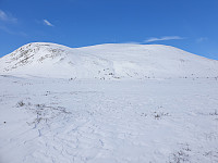 opps_20210710_60e9e3dcd7560.jpg