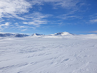opps_20210710_60e9e3e56f593.jpg