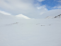 opps_20210710_60e9e5b365e53.jpg