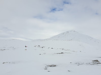 opps_20210710_60e9e5b7335cf.jpg