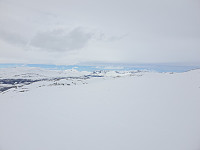 opps_20210710_60e9e6f289962.jpg