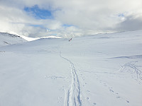 opps_20210710_60e9ee8c69dce.jpg